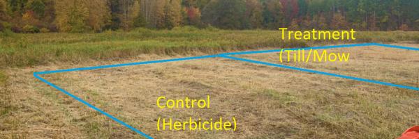 One of Graduate Student Stever Bartlett's research sites at Little Otter Creek is shown with an overlayed simple diagram of a plot. Photo: Stever Bartlett A mown wetland field near woods with two research plots marked